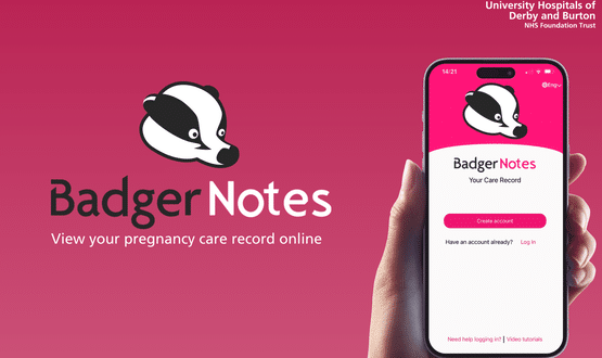 BadgetNotes